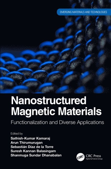 Shanmuga Sundar Dhanabalan, Suresh Kannan Balasingam, Sebastian Diaz de la Torre, Arun Thirumurugan, Sathish-Kumar Kamaraj - Nanostructured Magnetic Materials, E-bok