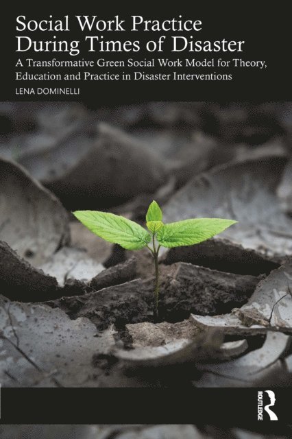 Lena Dominelli - Social Work Practice During Times of Disaster, E-bok