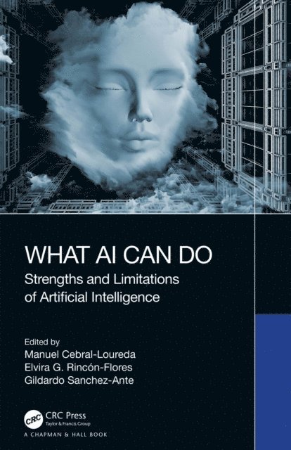 Gildardo Sanchez-Ante, Elvira G. Rincon-Flores, Manuel Cebral-Loureda - What AI Can Do, E-bok