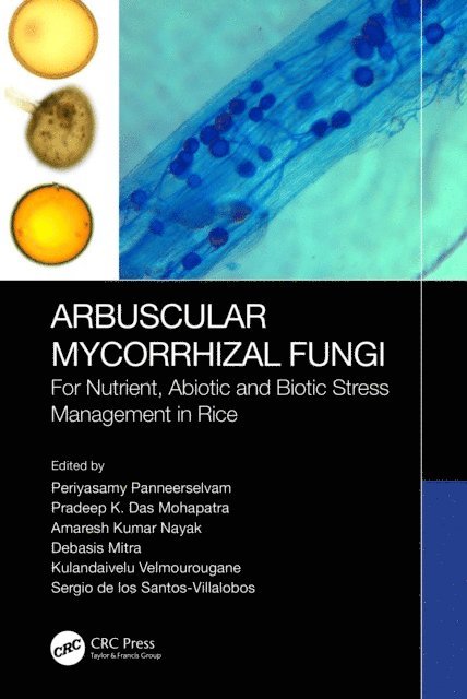 Sergio De Los Santos-Villalobos, Kulandaivelu Velmourougane, Debasis Mitra, Amaresh Kumar Nayak, Pradeep Kumar Das Mohapatra, Periyasamy Panneerselvam - Arbuscular Mycorrhizal Fungi, E-bok