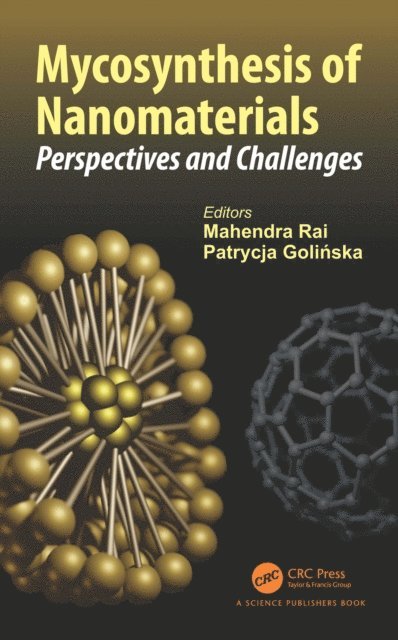 Patrycja Golinska, Mahendra Rai - Mycosynthesis of Nanomaterials, E-bok