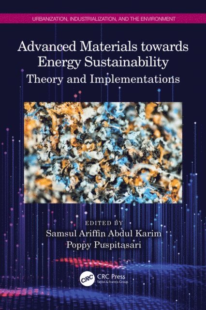 Poppy Puspitasari, Samsul Ariffin Abdul Karim - Advanced Materials towards Energy Sustainability, E-bok