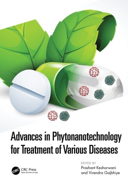 Virendra Gajbhiye, Prashant Kesharwani - Advances in Phytonanotechnology for Treatment of Various Diseases, E-bok
