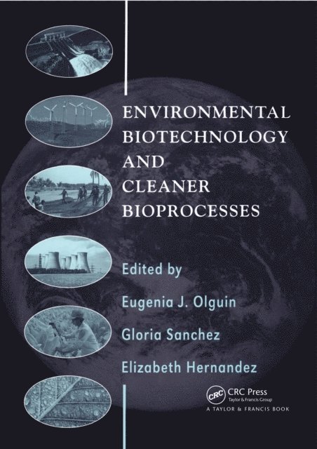 Elizabeth Hernandez, Gloria Sanchez - Environmental Biotechnology and Cleaner Bioprocesses, E-bok