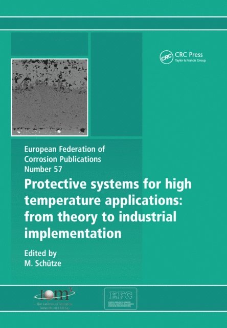 M. Schutze - Protective Systems for High Temperature Applications EFC 57, E-bok