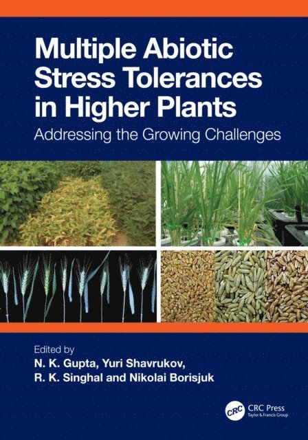 Nikolai Borisjuk, R.K. Singhal, Yuri Shavrukov, N.K. Gupta - Multiple Abiotic Stress Tolerances in Higher Plants, E-bok