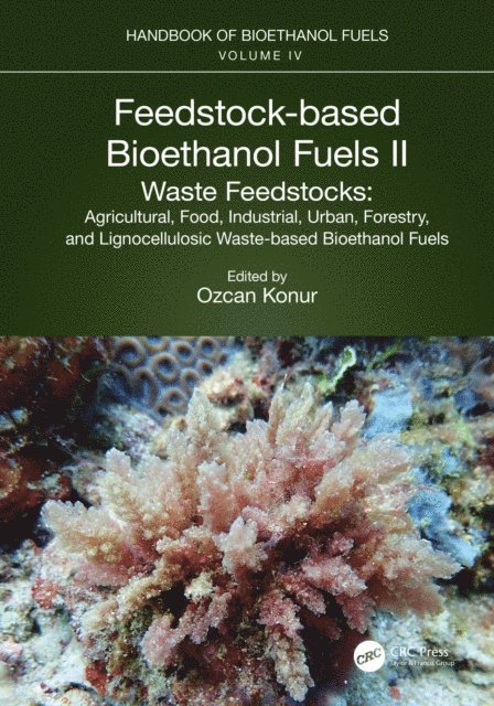 Ozcan Konur - Feedstock-based Bioethanol Fuels. II. Waste Feedstocks, E-bok