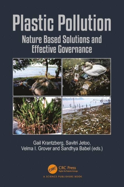 Sandhya Babel, Velma I Grover, Savitri Jetoo, Gail Krantzberg - Plastic Pollution, E-bok