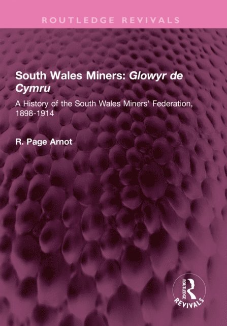 Robert Page Arnot - South Wales Miners: Glowyr de Cymru, E-bok