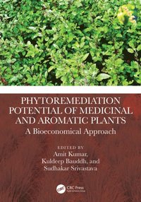 Phytoremediation Potential of Medicinal and Aromatic Plants