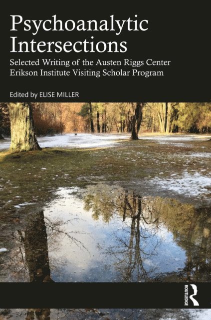 Elise Miller - Psychoanalytic Intersections, E-bok