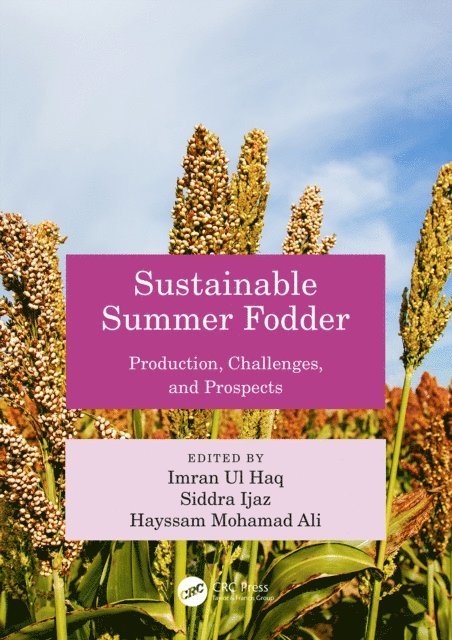 Hayssam Ali, Siddra Ijaz, Imran ul Haq - Sustainable Summer Fodder, E-bok