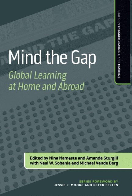 Amanda Sturgill, Nina Namaste - Mind the Gap, E-bok