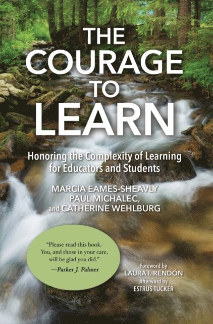 Catherine M. Wehlburg, Paul Michalec, Marcia Eames-Sheavly - Courage to Learn, E-bok