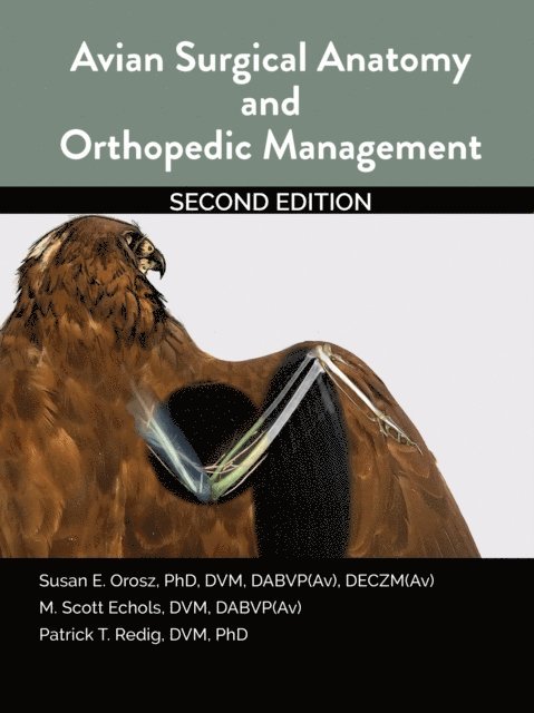 Patrick Redig, Scott Echols, Susan Orosz - Avian Surgical Anatomy And Orthopedic Management, 2nd Edition, E-bok