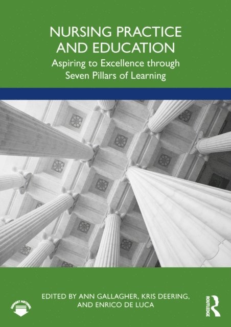 Enrico De Luca, Kris Deering, Ann Gallagher - Nursing Practice and Education, E-bok