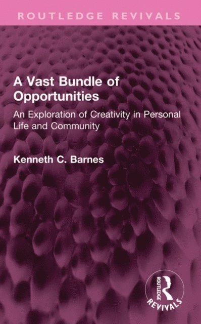 Kenneth C. Barnes - Vast Bundle of Opportunities, E-bok