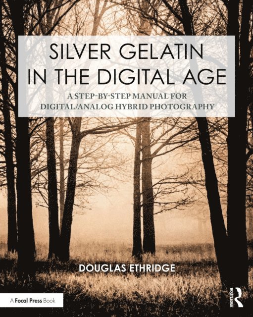 Douglas Ethridge - Silver Gelatin In the Digital Age, E-bok