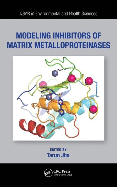 Tarun Jha - Modeling Inhibitors of Matrix Metalloproteinases, E-bok