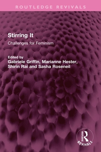 Sasha Roseneil, Shirin Rai, Marianne Hester, Gabriele Griffin - Stirring It, E-bok