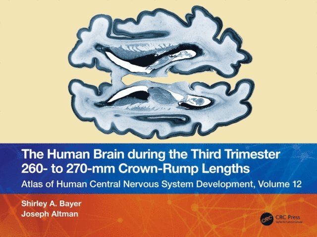 Joseph Altman, Shirley A. Bayer - Human Brain during the Third Trimester 260- to 270-mm Crown-Rump Lengths, E-bok