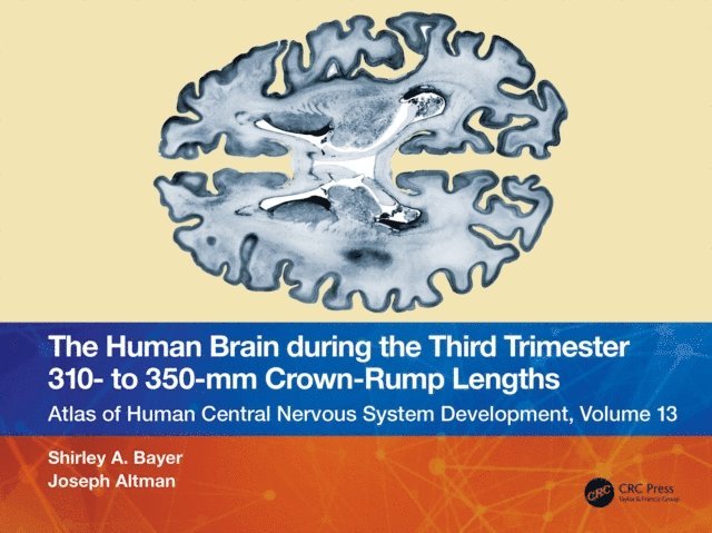 Joseph Altman, Shirley A. Bayer - Human Brain during the Third Trimester 310a &quote; to 350a &quote;mm Crown-Rump Lengths, E-bok
