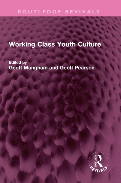 Geoff Pearson, Geoff Mungham - Working Class Youth Culture, E-bok