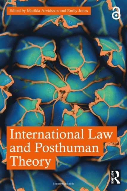 Emily Jones, Matilda Arvidsson - International Law and Posthuman Theory, E-bok