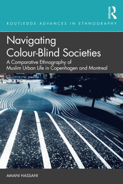 Amani Hassani - Navigating Colour-Blind Societies, E-bok