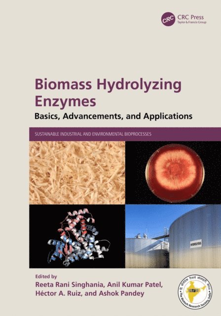 Ashok Pandey, Hector A. Ruiz, Anil Kumar Patel, Reeta Rani Singhania - Biomass Hydrolyzing Enzymes, E-bok