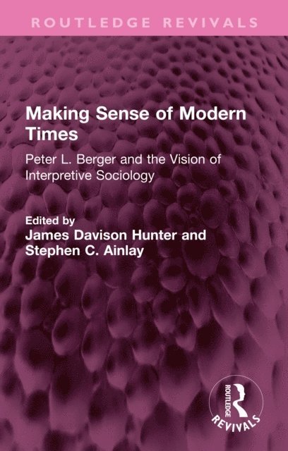 Stephen C. Ainlay, James Davison Hunter - Making Sense of Modern Times, E-bok