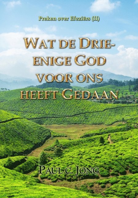 Paul C. Jong - Preken over Efeziers (II) ; Wat de Drie-enige God voor ons heeft Gedaan, E-bok