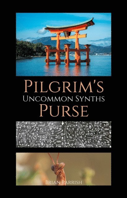Brian S. Parrish - Pilgrim's Purse: Uncommon Synths, E-bok. Tillgänglighet: Lägg i varukorg