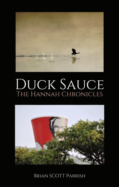 Brian S. Parrish - Duck Sauce: The Hannah Chronicles, E-bok. Tillgänglighet: Lägg i varukorg