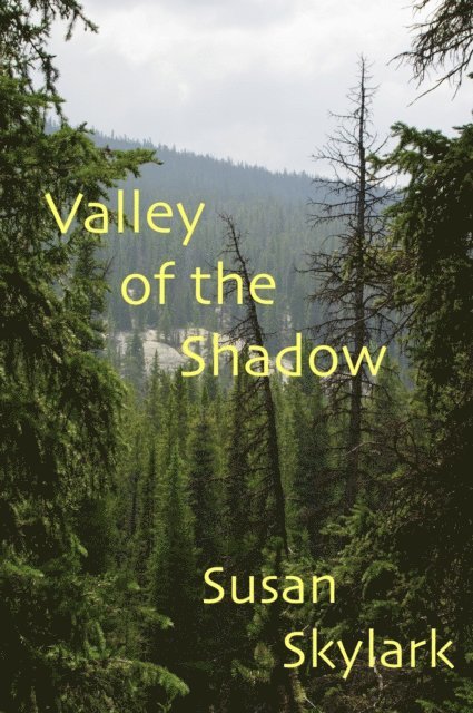 Susan Skylark - Valley of the Shadow, E-bok. Tillgänglighet: Lägg i varukorg