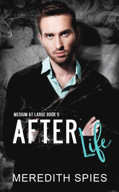 Meredith Spies - After Life (Medium at Large Book 5), E-bok