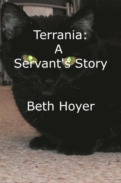 Beth Hoyer - Terrania: A Servant's Story, E-bok