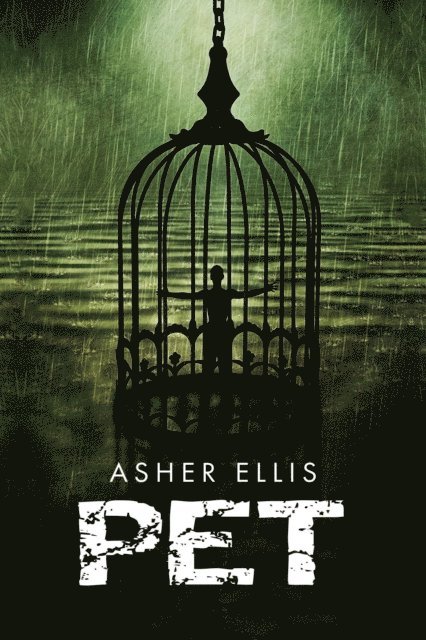 Asher Ellis - Pet, E-bok