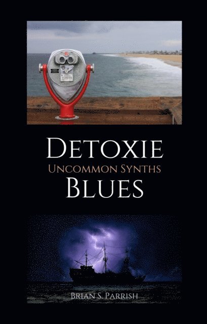 Brian S. Parrish - Detoxie Blues: Uncommon Synths, E-bok. Tillgänglighet: Lägg i varukorg