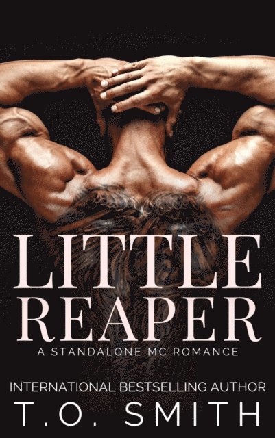 T.O. Smith - Little Reaper, E-bok