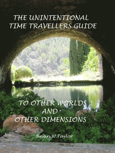 Brian Taylor - Unintentional Time Travelers Guide To Other Worlds And Other Dimensions, E-bok
