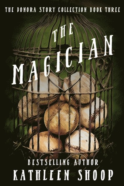 Kathleen Shoop - Magician, E-bok