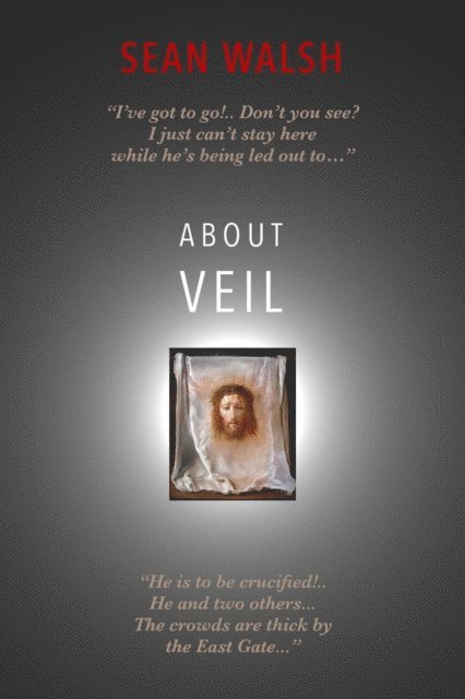 Sean Walsh - About Veil, E-bok
