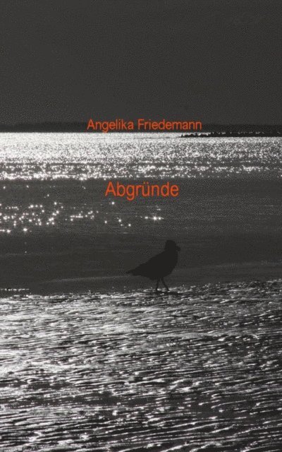 Angelika Friedemann - Abgrunde, E-bok