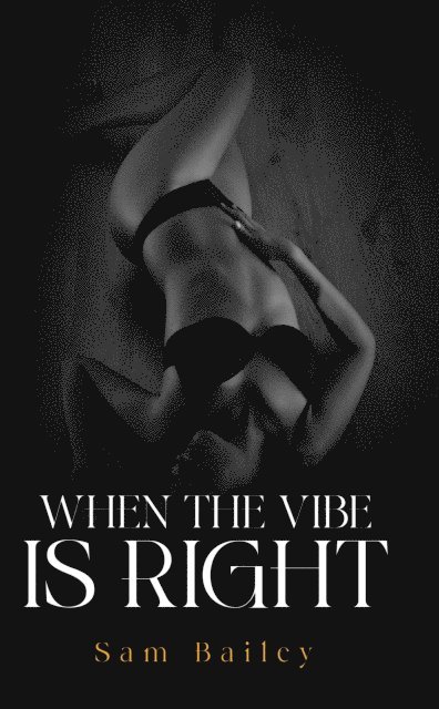 Sam Bailey - When the Vibe Is Right, E-bok