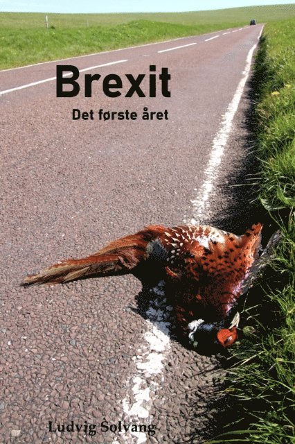 Ludvig Solvang - Brexit Det forste aret, E-bok