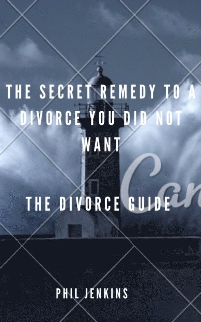 Phil Jenkins - Secret Remedy To a Divorce You Did Not Want, E-bok