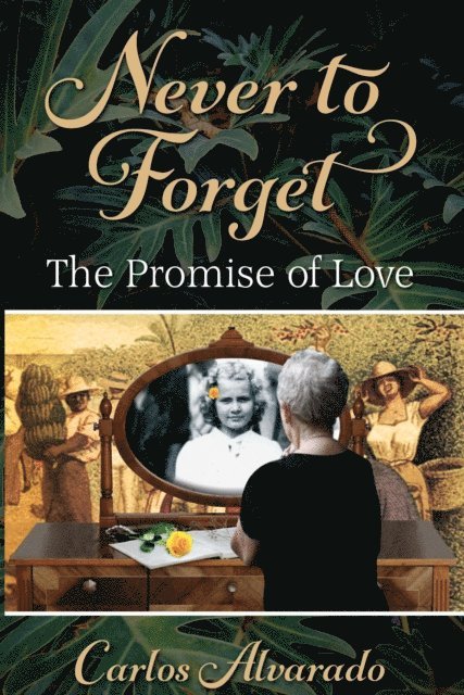 Carlos Alvarado - Never to Forget: The Promise of Love, E-bok
