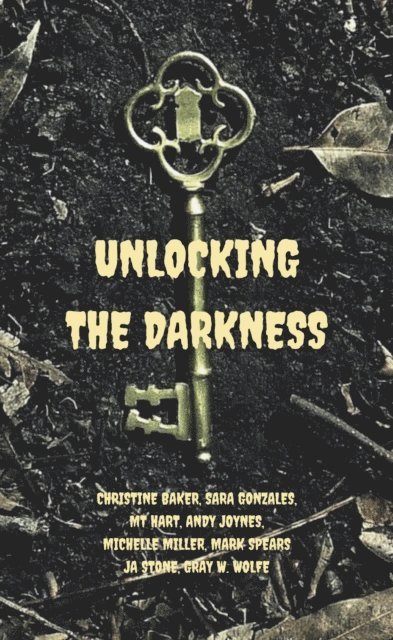 Gray Wolfe, JA Stone, Mark Spears, Michelle Miller, Andy Joynes, MT Hart, Sara Gonzales, Christine Baker - Unlocking the Darkness, E-bok