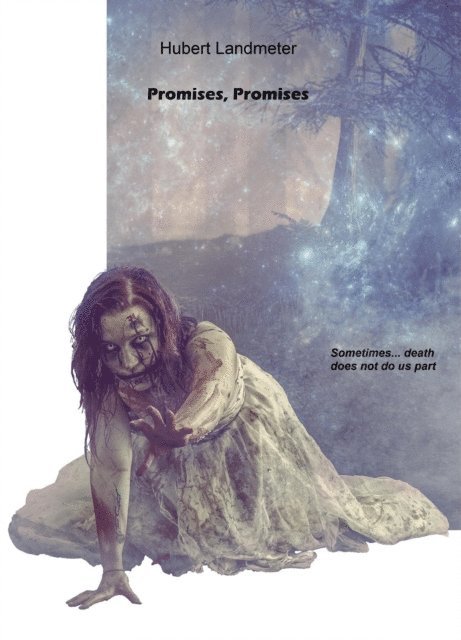 Hubert Landmeter - Promises, Promises, E-bok